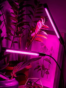 Фитолампа для растений с таймером на прищепке Огонек OG-LDP20